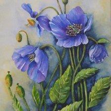 Схема вышивки «Цветы»