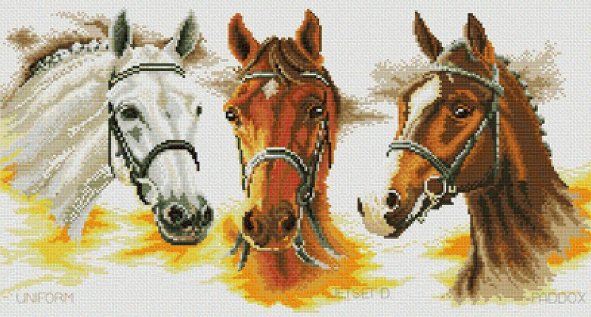 Three Horses - horses - предпросмотр