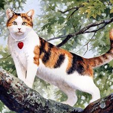 Схема вышивки «Gato.»