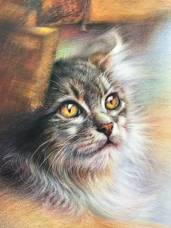 Gato. - animais.pintura. - оригинал