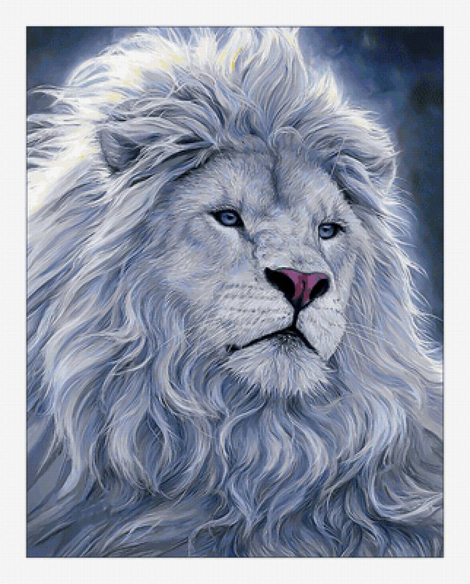 Белый лев. - живопись, лев, взгляд, хищник - предпросмотр
