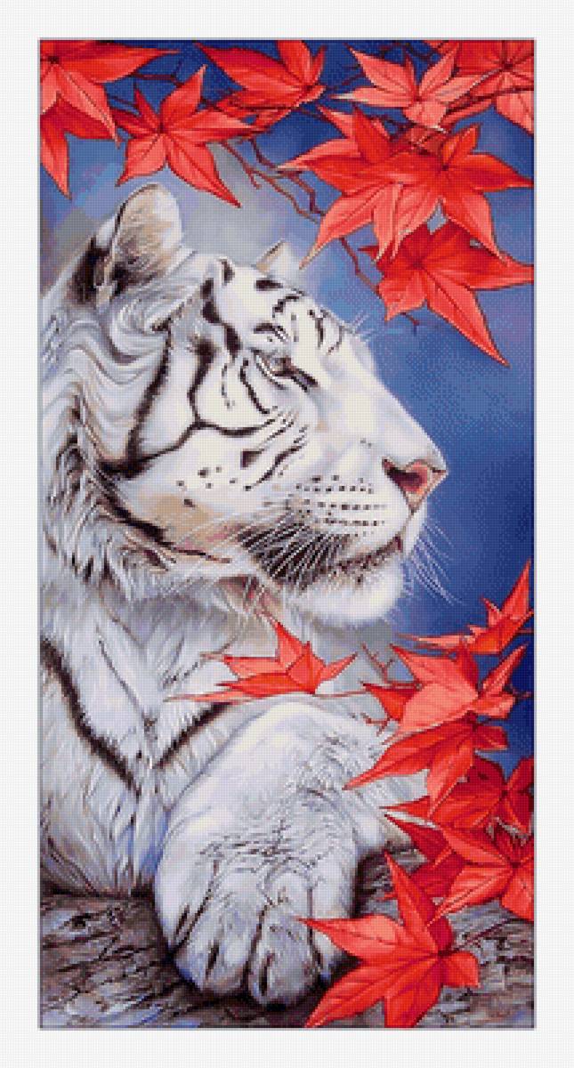 Белый тигр. - тигр, хищник, взгляд, животные - предпросмотр