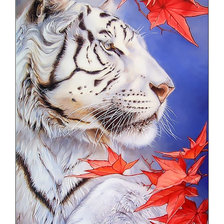 Оригинал схемы вышивки «Белый тигр.» (№2309059)