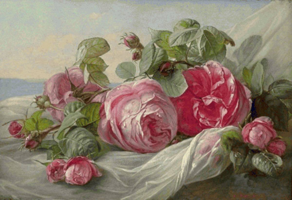 Розы - предпросмотр