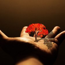 Схема вышивки «№2309372»