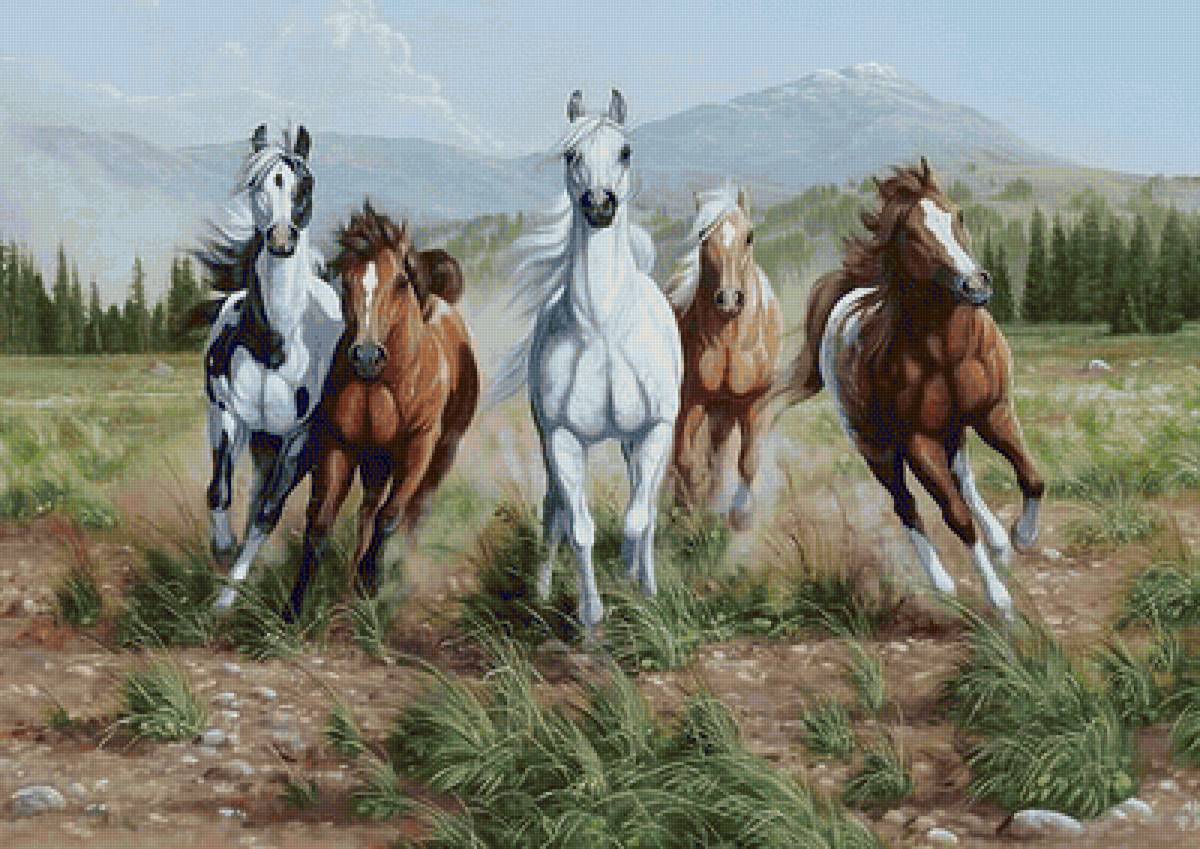 Кони - предпросмотр