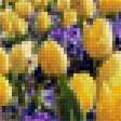 Предпросмотр схемы вышивки «Tulipanes amarillos» (№2309805)
