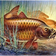 Схема вышивки «Peixes.»