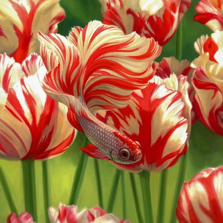 Tulipas. - flores.peixe. ilustração. - оригинал