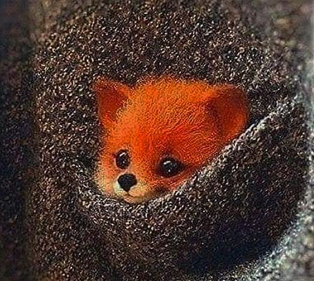 Макс фрай - природа, лисенок, макс фрай - оригинал