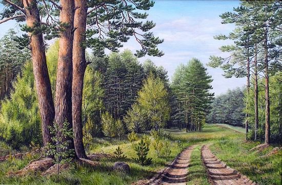 Лесная дорога - сосны, дорога, природа, лес, пейзаж - оригинал