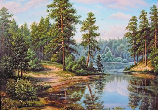 Лесной уголок - лето, сосны, природа, лес, речка - оригинал