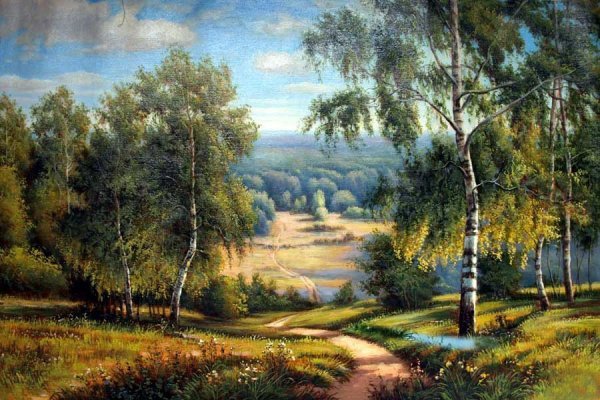 Тропинка в лесу - тропинка, березы, лес, природа, лето - оригинал