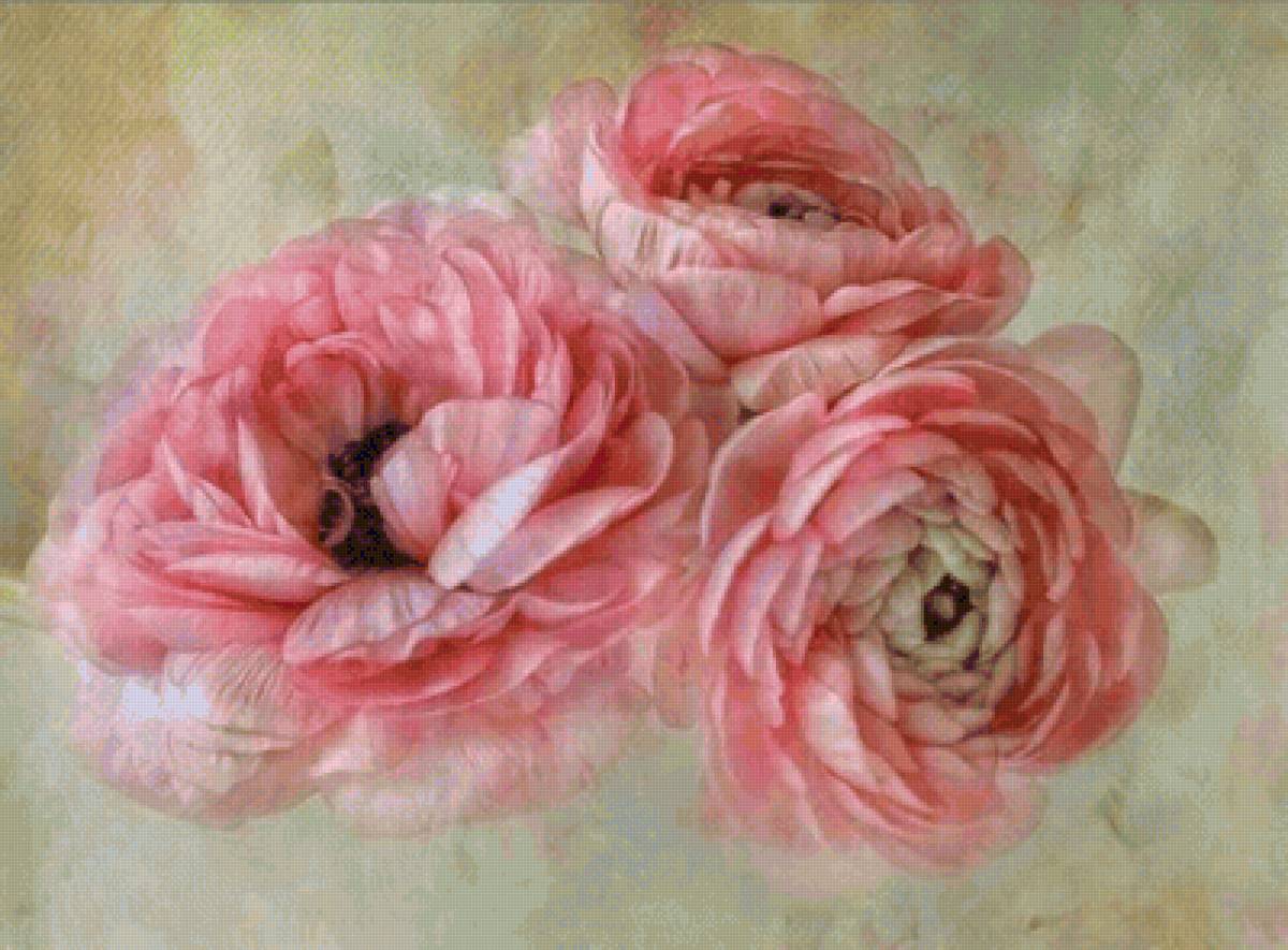 Цветы - цветы - предпросмотр