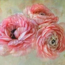 Схема вышивки «Цветы»