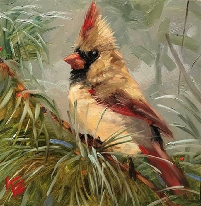 Cardeal. - pássaro. - оригинал