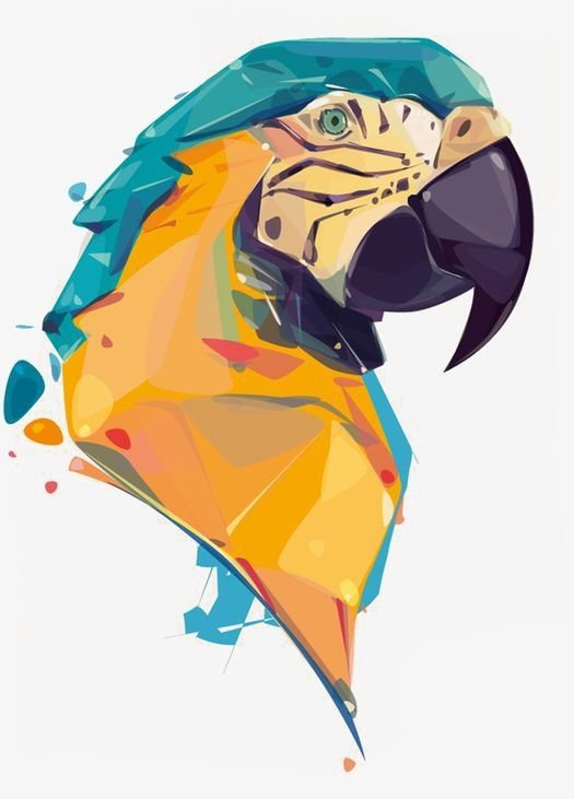 попугай - оригинал