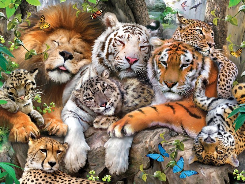 Большие дикие кошки - барс, лев. тигр, хищники, кошки - оригинал