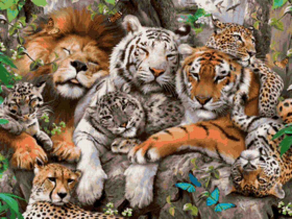 Большие дикие кошки - хищники, барс, лев. тигр, кошки - предпросмотр