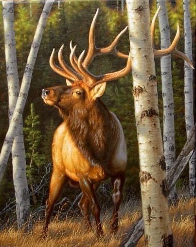 Олени, Олени - олени - оригинал