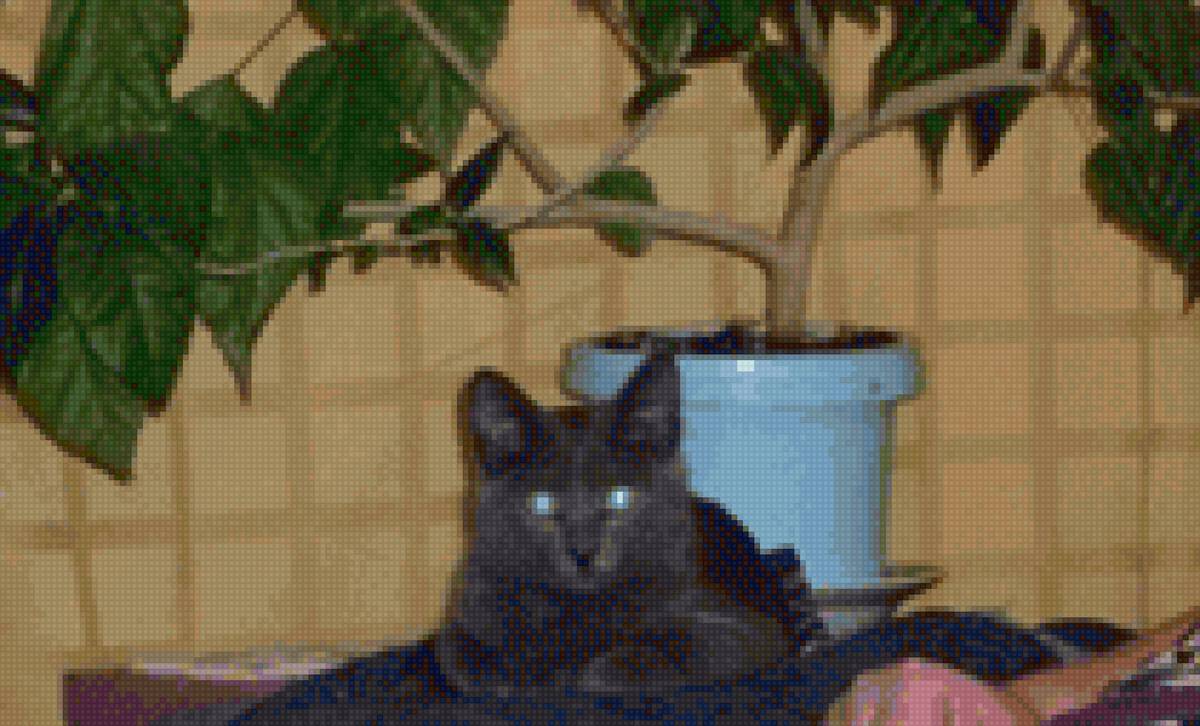 2224 - предпросмотр