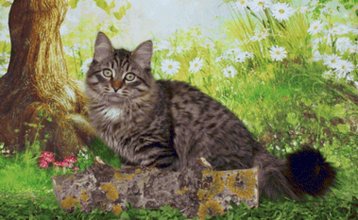 Gato. - animais.flores natureza. - предпросмотр