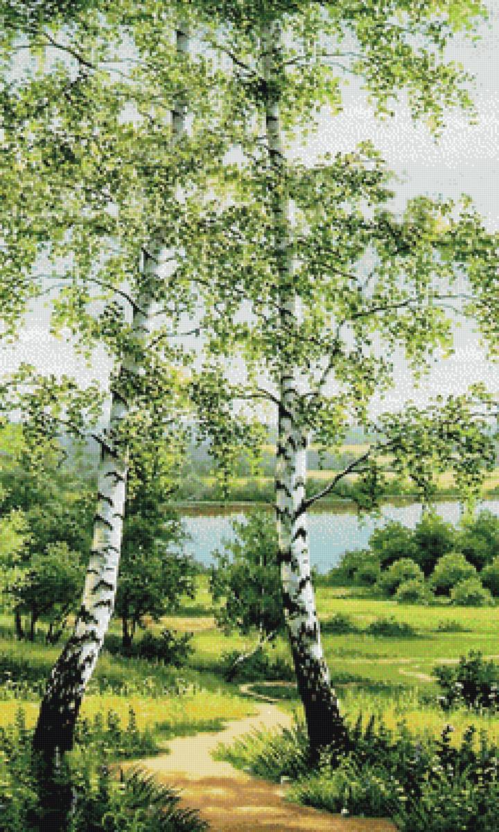 Березки - пейзаж, река, березы, небо - предпросмотр