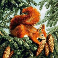 Схема вышивки «Белка»