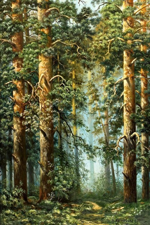 В лесной глуши - пейзаж, лес, сосны, природа - оригинал