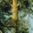 Предпросмотр схемы вышивки «В лесной глуши» (№2312521)