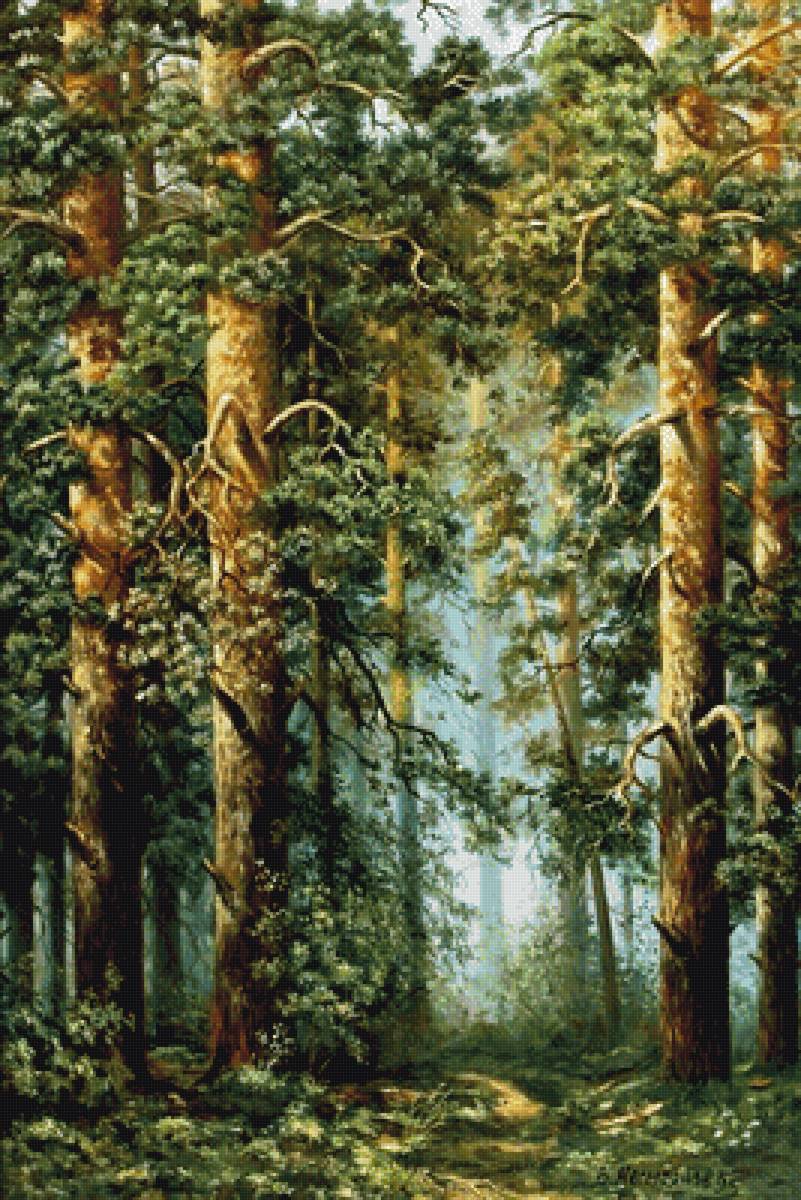 В лесной глуши - природа, пейзаж, лес, сосны - предпросмотр