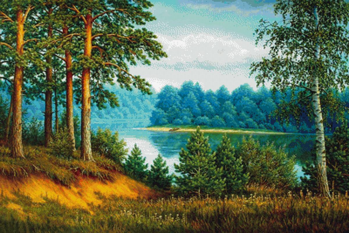 На берегу озера - сосны, красота, природа, лес, озеро - предпросмотр