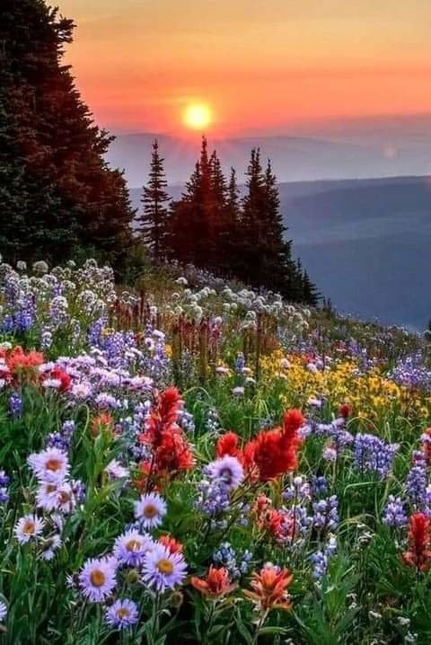 Пейзаж - оригинал