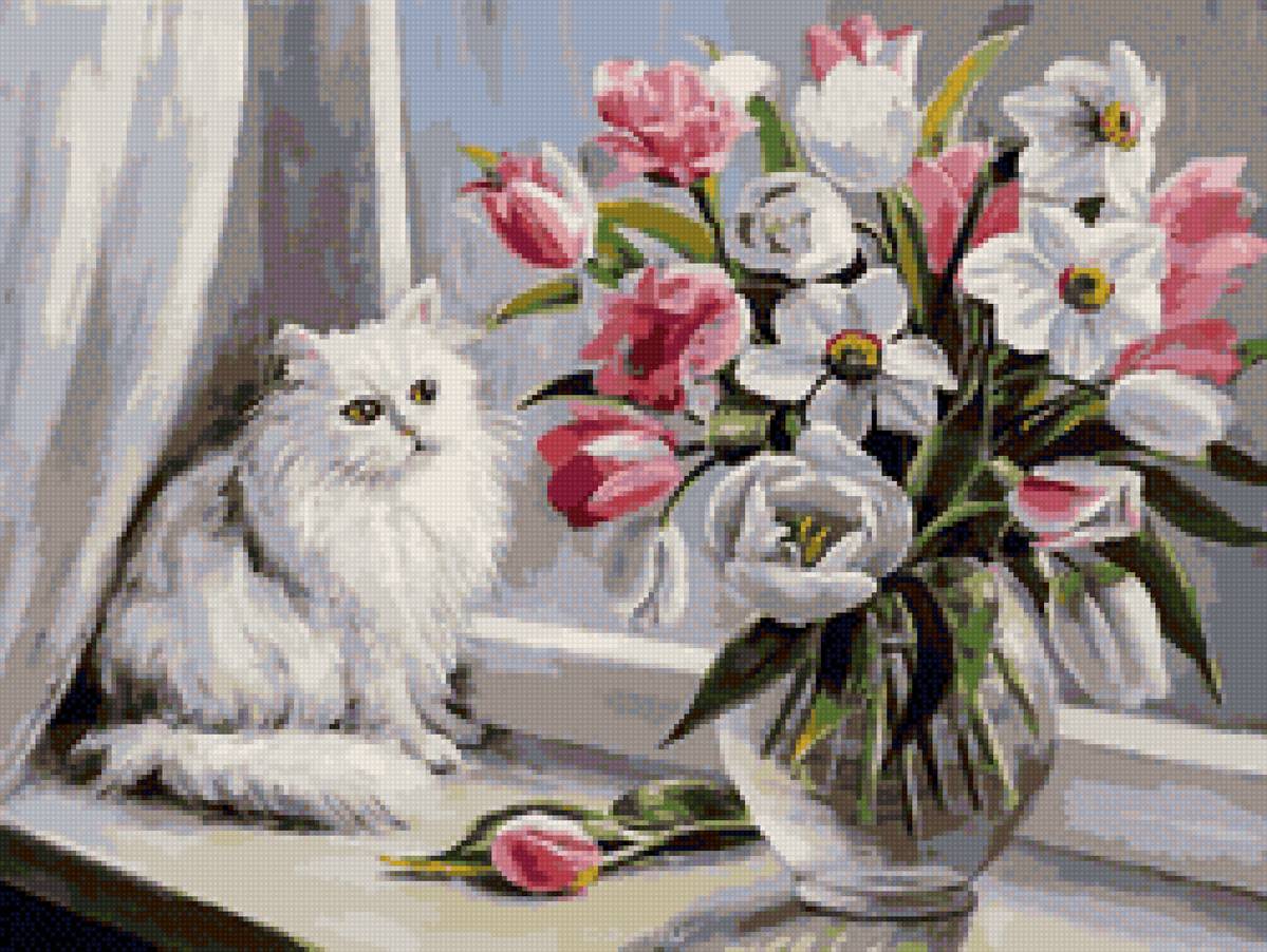 кот и цветы - цветы, вазон, кот - предпросмотр
