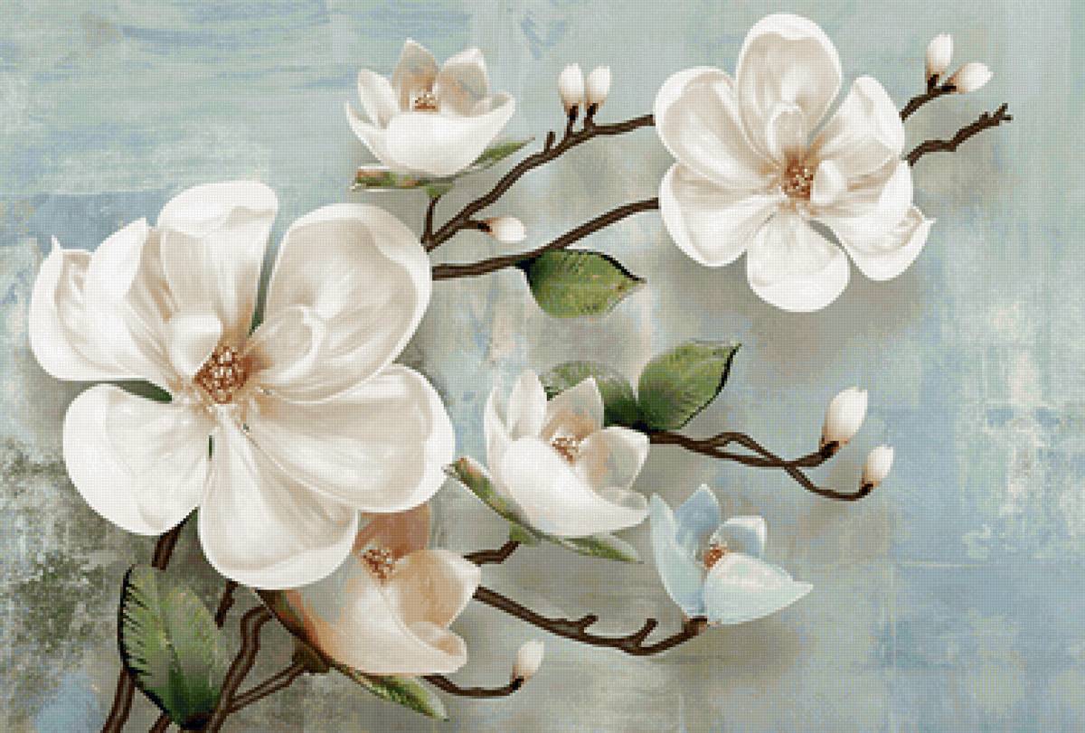 Ramo de magnólia. - flores. - предпросмотр