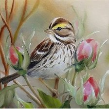 Схема вышивки «Pássaro.»