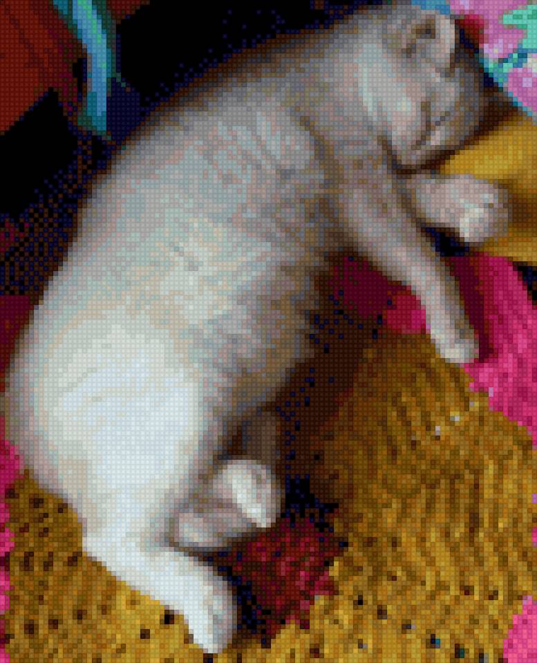 сон - сон - предпросмотр