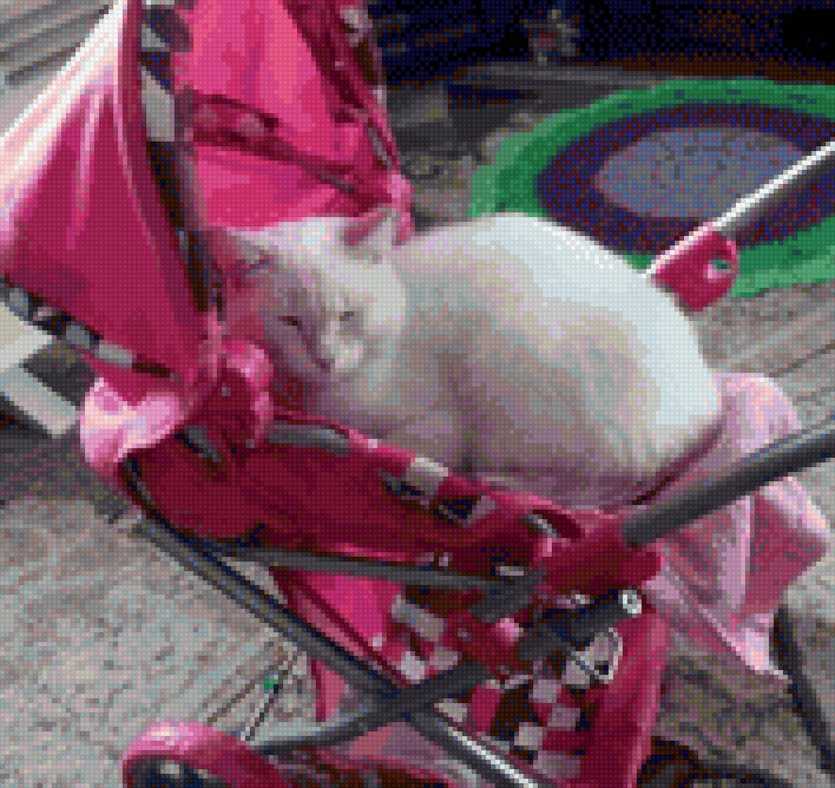 меня заставили - кот - предпросмотр