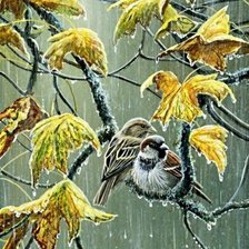 Схема вышивки «№2313291»