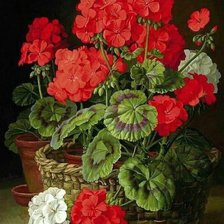 Схема вышивки «№2313311»