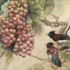 Схема вышивки «Виноград»