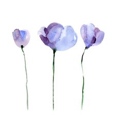 Схема вышивки «цветы»