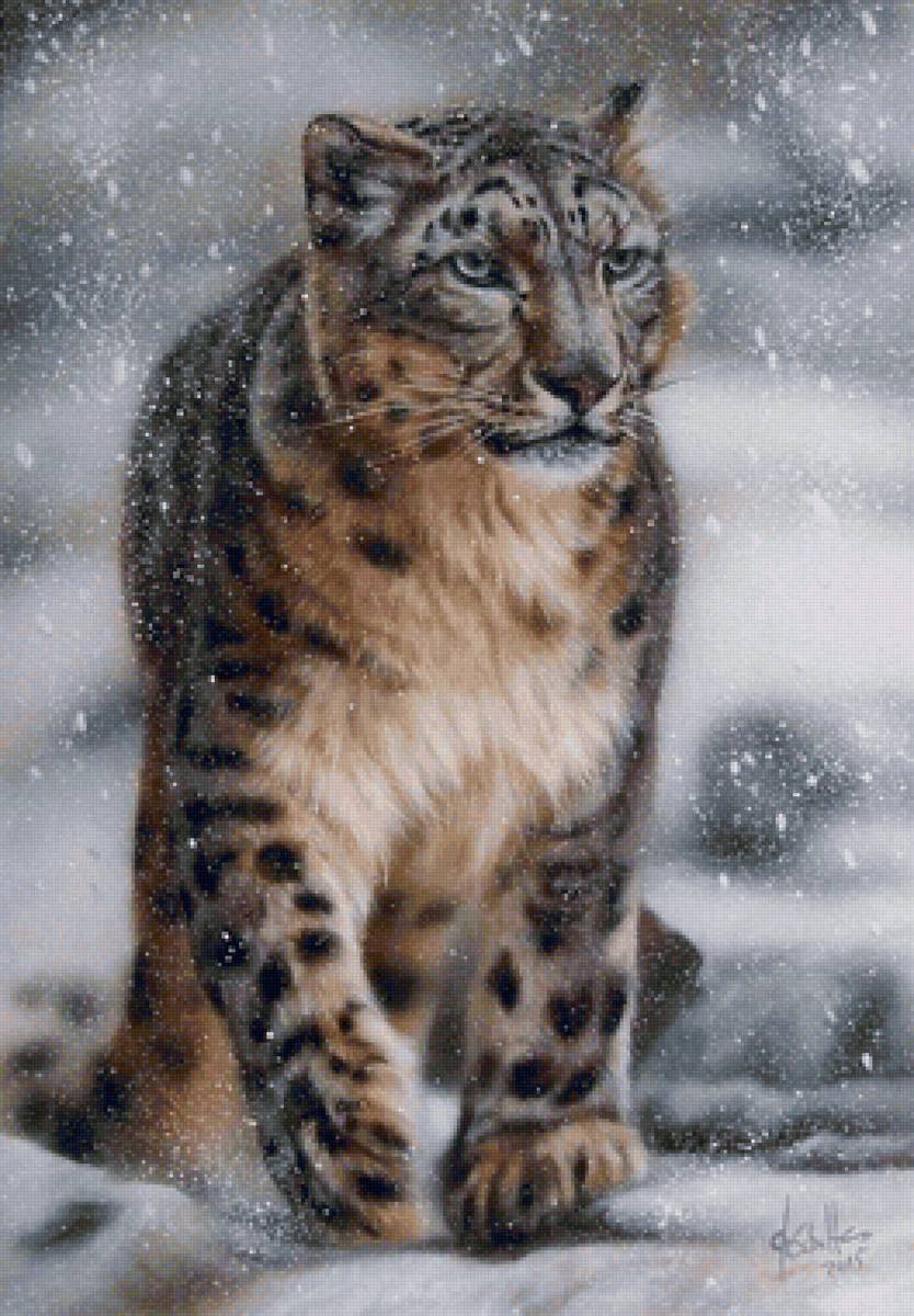 Leopardo  das neves. - animais. - предпросмотр