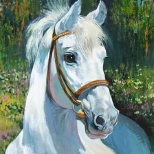 Схема вышивки «Cavalo.»