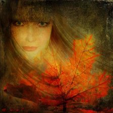 Схема вышивки «мадам»