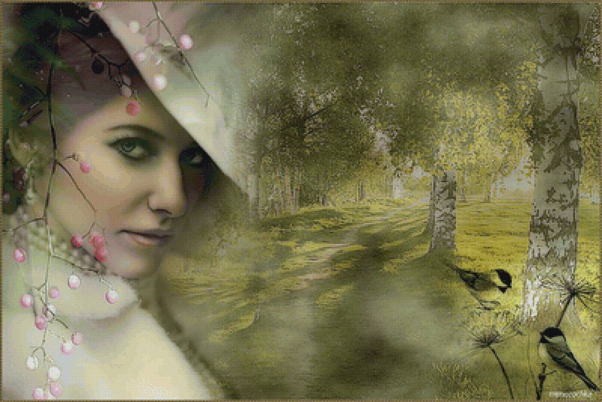 мадам - предпросмотр