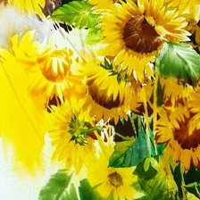 Схема вышивки «Подсолнухи»