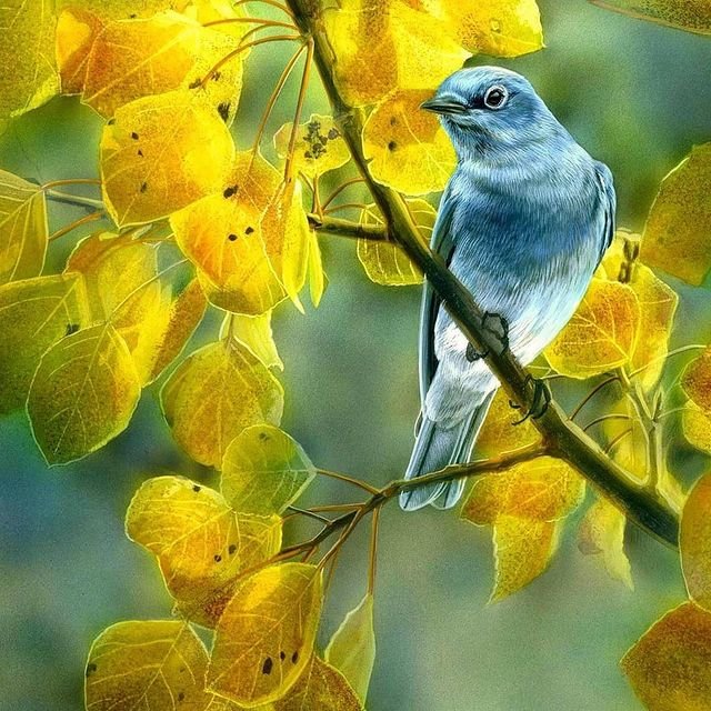 Птички на ветке - оригинал