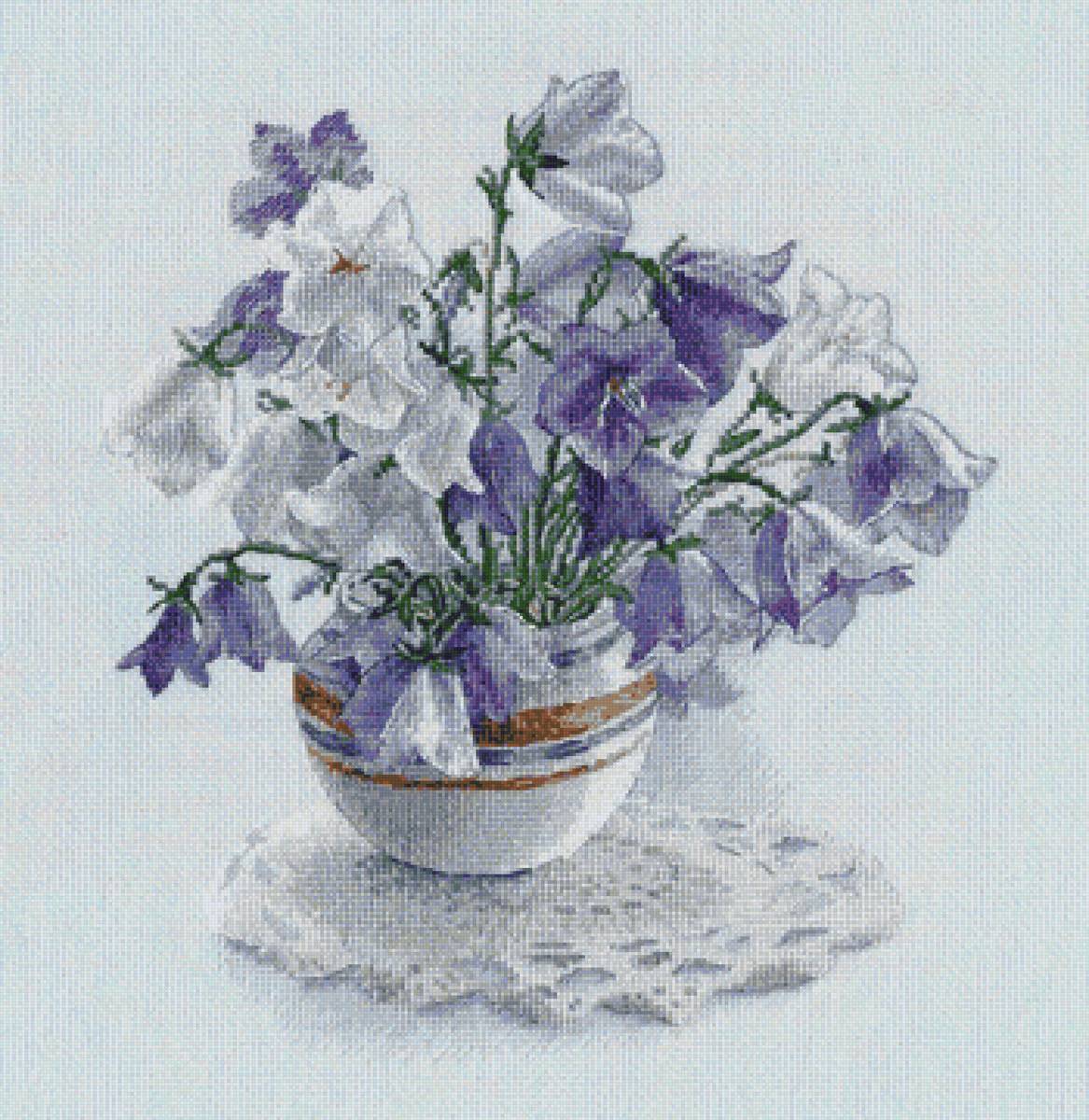 лазоревый звон - предпросмотр