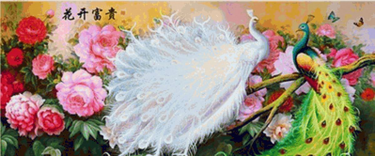 PAVONI - pavoni - предпросмотр